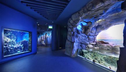 Top 5 cele mai spectaculoase oceanarium din lume