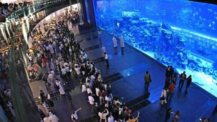 Top 5 cele mai spectaculoase oceanarium din lume