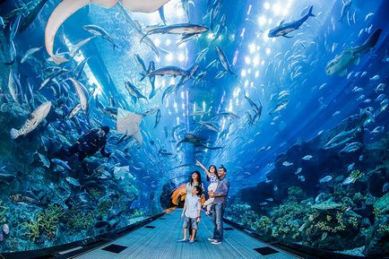 Top 5 cele mai spectaculoase oceanarium din lume