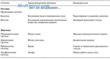 Транспортна система рослин