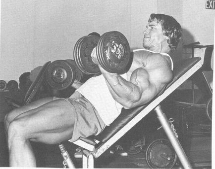 Workout Arnold Schwarzenegger - pro-Kach - Testépítés kezdőknek