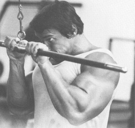 Workout Arnold Schwarzenegger - pro-Kach - Testépítés kezdőknek