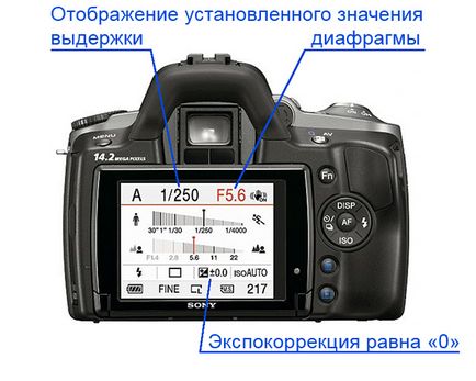 Tanulás dolgozni a „SLR” (tanult fotók) Tanulás dolgozni a „SLR”