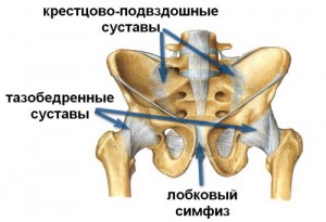 Зміцнюємо зв'язку йога при болях в крижах, мінський йога клуб yoga 108