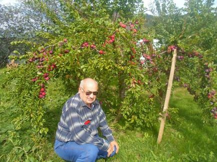 Shelter праскови за зимата