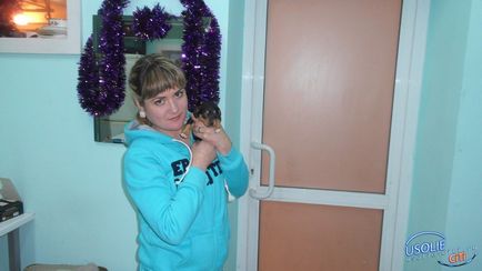 Voluntarii din Voluntari, care caută Elena Kurakina, cer să le ofere un câine-sniffer - toate