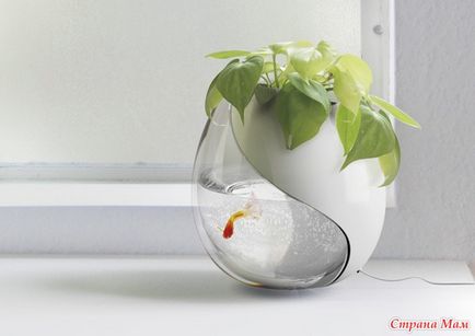 Вазон для квітів-акваріум - кімнатні рослини