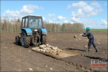 În Belarus sunt șomeri pietre curate din câmpuri