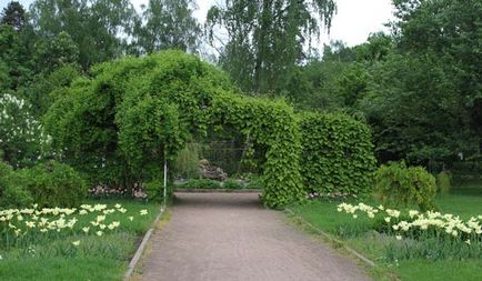 Herald al unui horticulturist - din istoria unei grădini mari de trandafiri din Parcul Sokolniki