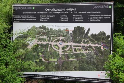 Herald al unui horticulturist - din istoria unei grădini mari de trandafiri din Parcul Sokolniki