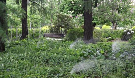 Herald al unui horticulturist - din istoria unei grădini mari de trandafiri din Parcul Sokolniki