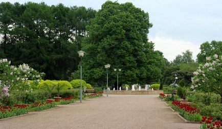 Herald al unui horticulturist - din istoria unei grădini mari de trandafiri din Parcul Sokolniki