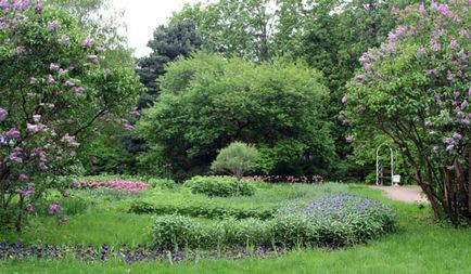 Herald al unui horticulturist - din istoria unei grădini mari de trandafiri din Parcul Sokolniki