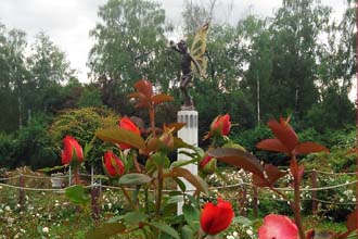 Herald al unui horticulturist - din istoria unei grădini mari de trandafiri din Parcul Sokolniki