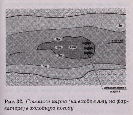 Válogatás az úszó ponty - horgászat portál