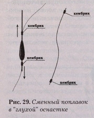 Вибір поплавця для лову коропа - портал про рибалку