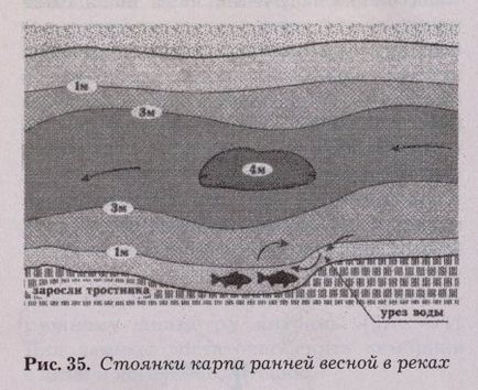 Вибір поплавця для лову коропа - портал про рибалку