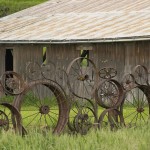 Tipuri de garduri pentru cabane (38 fotografii) caracteristici de produse metalice pentru zona suburbană, fotografii și