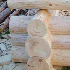 Tipuri de colțuri de tăiere tăierea lemnului în castron, tăierea în laba, andocarea în canalul lunar