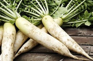 Daikon în creștere, casa de vară preferată, o grădină și o grădină