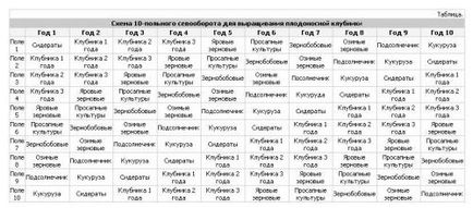 Вирощування плодоносної полуниці, головний фермерський портал - все про бізнес в сільському господарстві