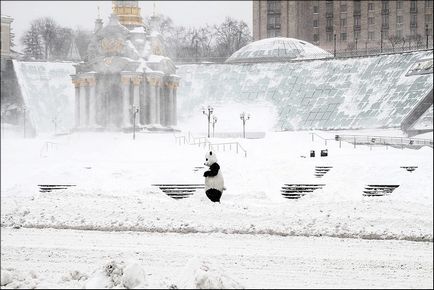 La Kiev, pentru a doua zi, ninsoarele anormale continuă