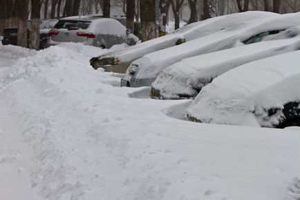 La Kiev, pentru a doua zi, ninsoarele anormale continuă