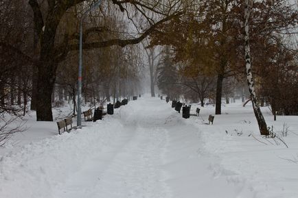 La Kiev, pentru a doua zi, ninsoarele anormale continuă