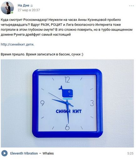 Вконтакте »видалила запис користувача зі згадуванням дитячого басейну« синій кит »
