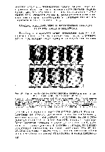 Az adalékanyagok hatása - referencia vegyész 21