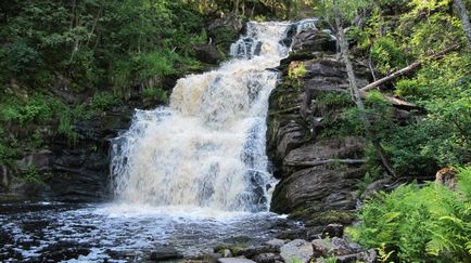 Poduri albe de pod (yukankoski)