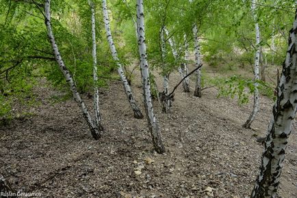 Волзька швейцария »вікенд в Щербаківський балці - розваги та туризм - інформаційний сайт міста