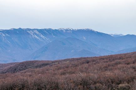 În campanie