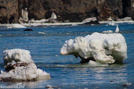 Plaja Halaktyrsky, kamchatkaland - excursii la Kamchatka