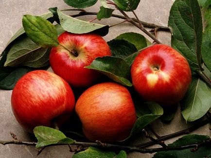 Apple mentett a 2016-os történet, imák, ráolvasások (2016) Apple mentett a 2016-os történet, imák, ráolvasások