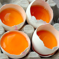 Masti de oua pentru inlocuirea parului pentru aparate de aer conditionat si balsamuri