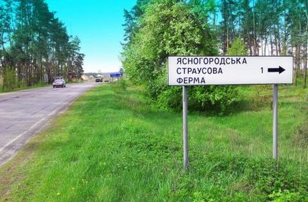 Fermă de struț Yasnogorodskaya
