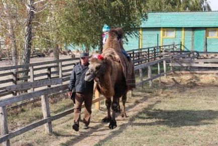 Iasnogorodski struccfarmot (keyword1) Yasnogorodsky Struccfarmra