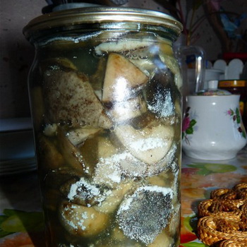 Ciuperci fermentate de ce ciupercile au rătăcit și ce să facă