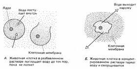 Закон Рауля - студопедія