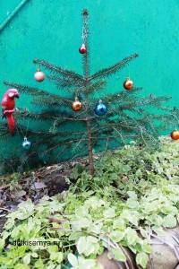 Mirosul unui pom de Crăciun într-un apartament, totul despre copii și familie