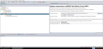 Zaproxy тестування на проникнення веб-додатків