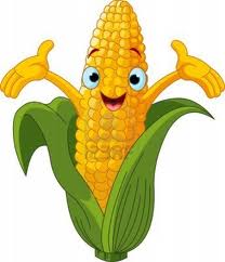 Захист кукурудзи, ніж захистити кукурудзу від шкідників