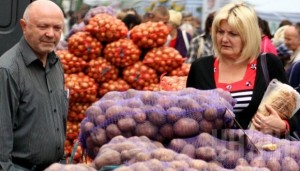Egészség mint jótékony lila virágok az emberi egészségre (hasznos) Egészség mint jótékony lila virágok az emberi egészségre