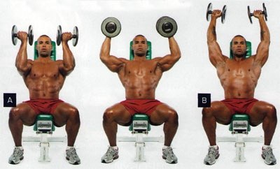 Dumbbell așezat ședinței - cum să pompeze musculare, culturism, exerciții, programe de instruire, nutriție,