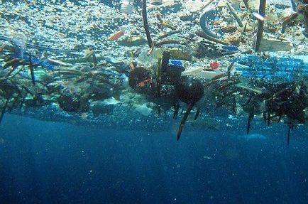 Adevărul teribil, care este ascuns de ocean (foto)