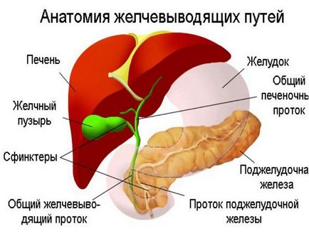 Arderea în partea dreaptă sub coaste în fața cauzei durerii și disconfortului