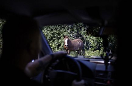 Зона виживання, публікації, навколо світу