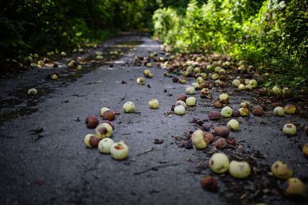 Zona de supraviețuire, publicații, din întreaga lume