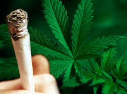 20 Tények a marihuána